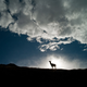 How to be a professional photographer 7